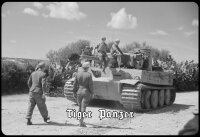 Blechschild - Tiger Panzer - historisch